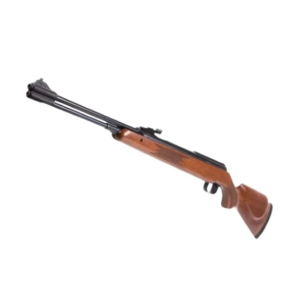 Diana RWS 460 Magnum