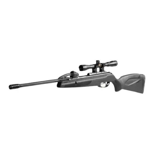 Gamo Quiker 10